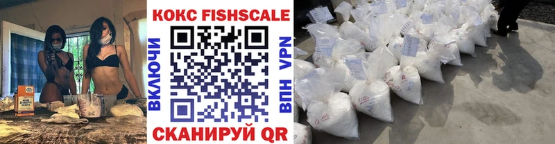 Купить закладки  Каргат  COCAIN FishScale 