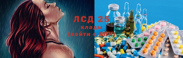 винт Инсар