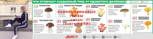 кокс Зерноград