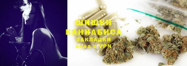 крисы Зеленодольск