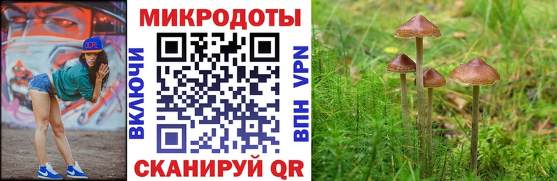 Псилоцибиновые грибы Cubensis  Купить  Каргат 