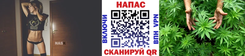 Купить где  Каргат  Марихуана семена 