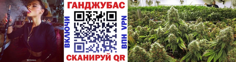 Конопля SATIVA & INDICA Каргат